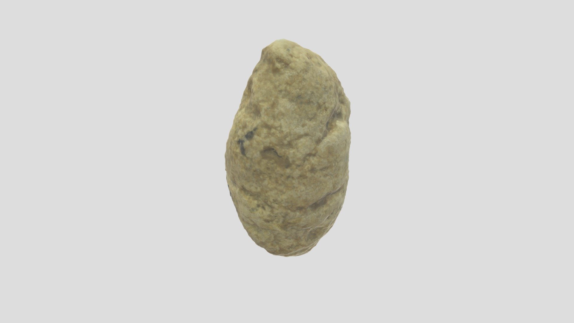 MU Sed Strat 0004 Coprolite