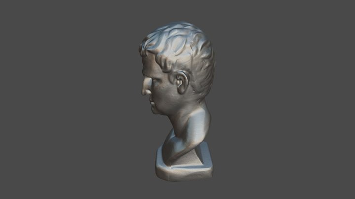 Бюст, 3D scanners - SLS 3D Model