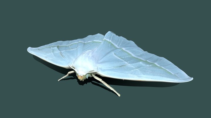 Light Emerald – Free 3D Model STL