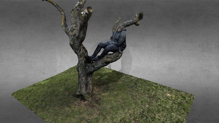 Tree Branch Man 3D Model
