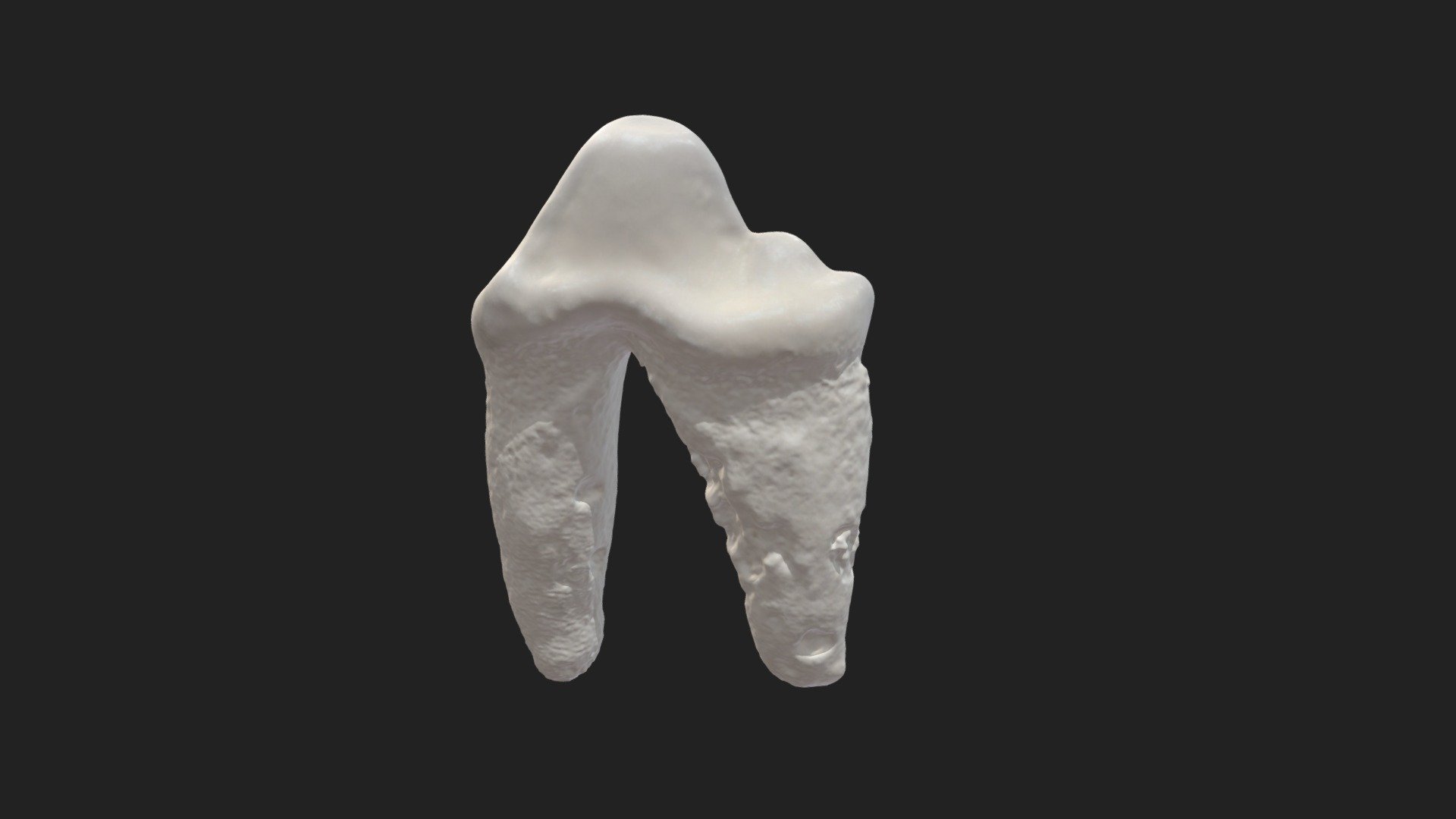 2nd cheek tooth (2nd premolar) dog (upper jaw) - Download Free 3D model ...