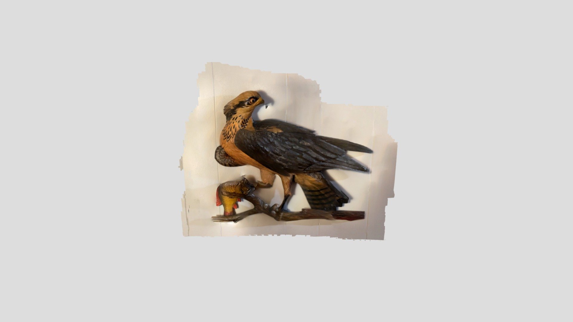 Osprey