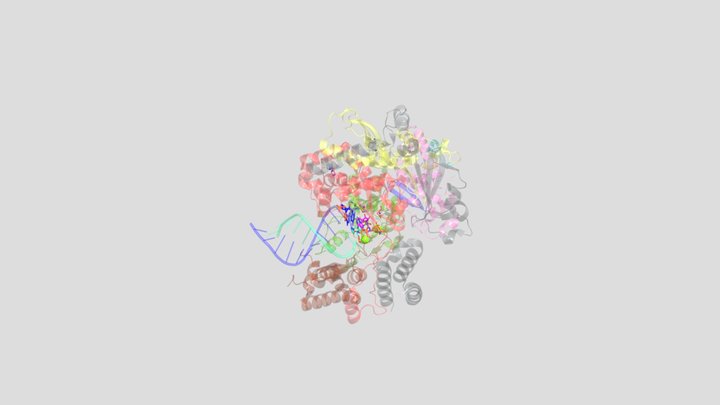 RNA dependant RNA Polymerase with Remdesivir 3D Model