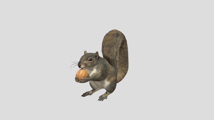 Nutty Squirrel – Kostenloses 3D-Modell STL
