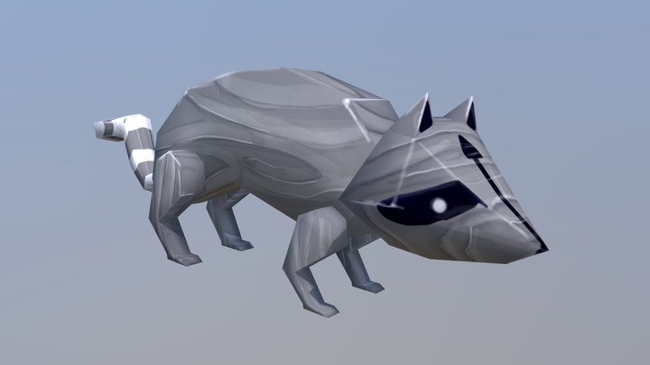 Mapache / Racoon 3D Model