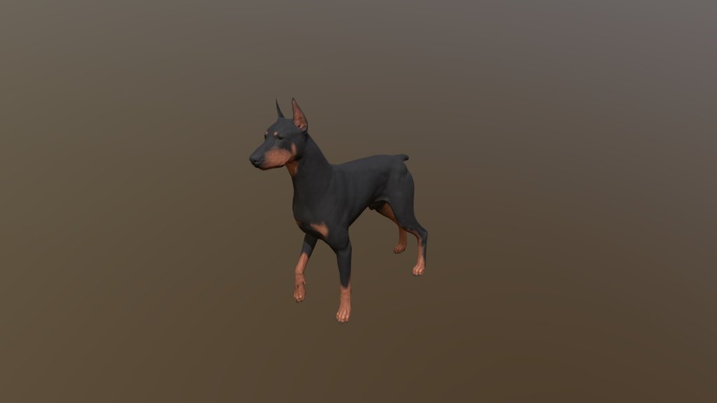 Doberman