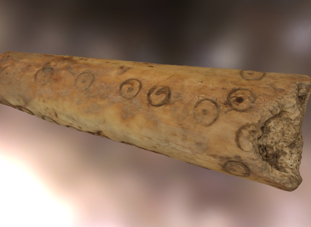 Romano-British Bone Handle - Download Free 3D model by DigVentures ...