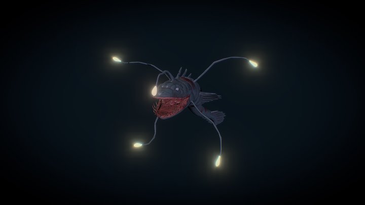 Aequor fulgur 3D Model
