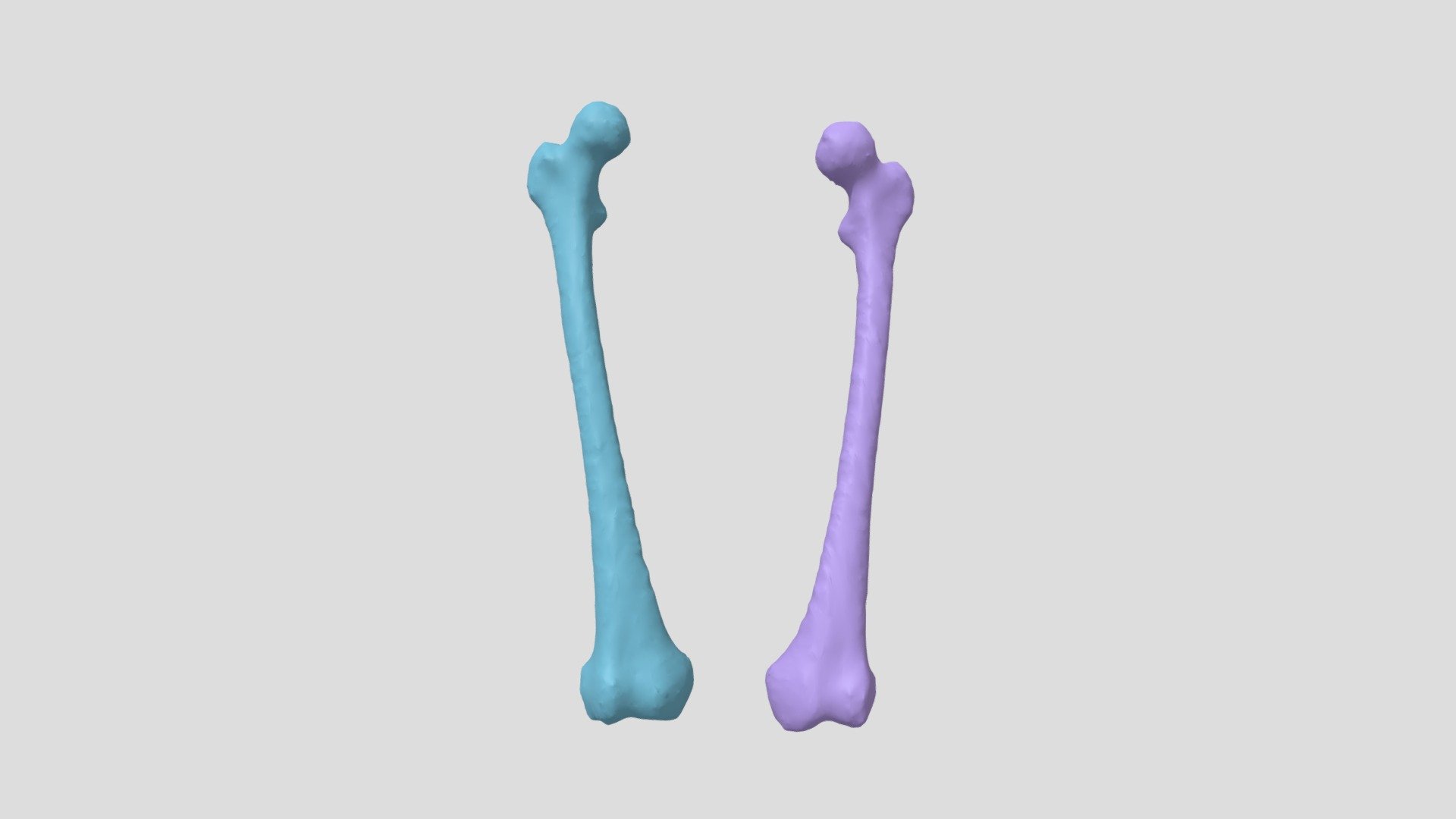 I&M Final Project 2020 - 10001F Femurs