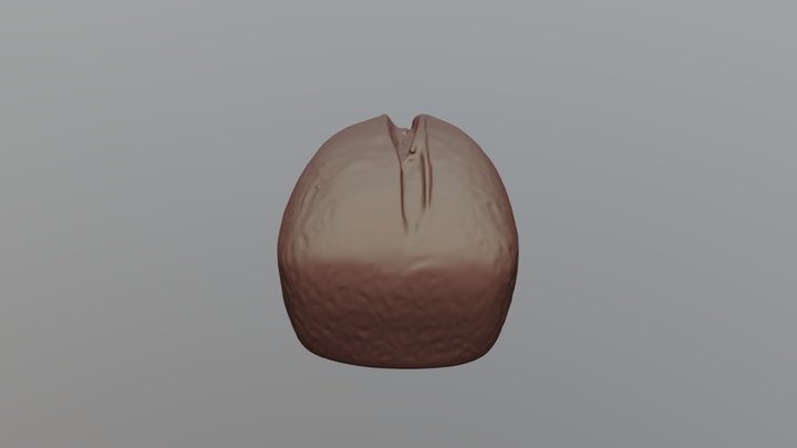 bread 3D Model