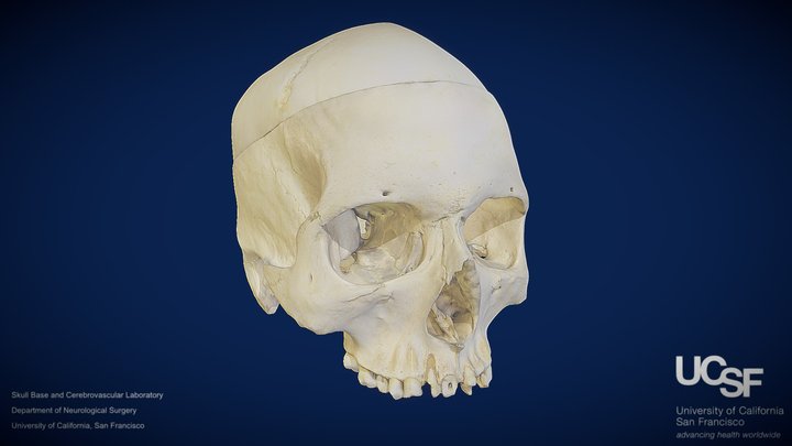 FTOZ- Model 1 – Free 3D Model STL
