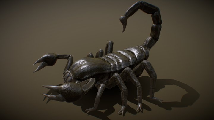 3D Scorpion 3D Model
