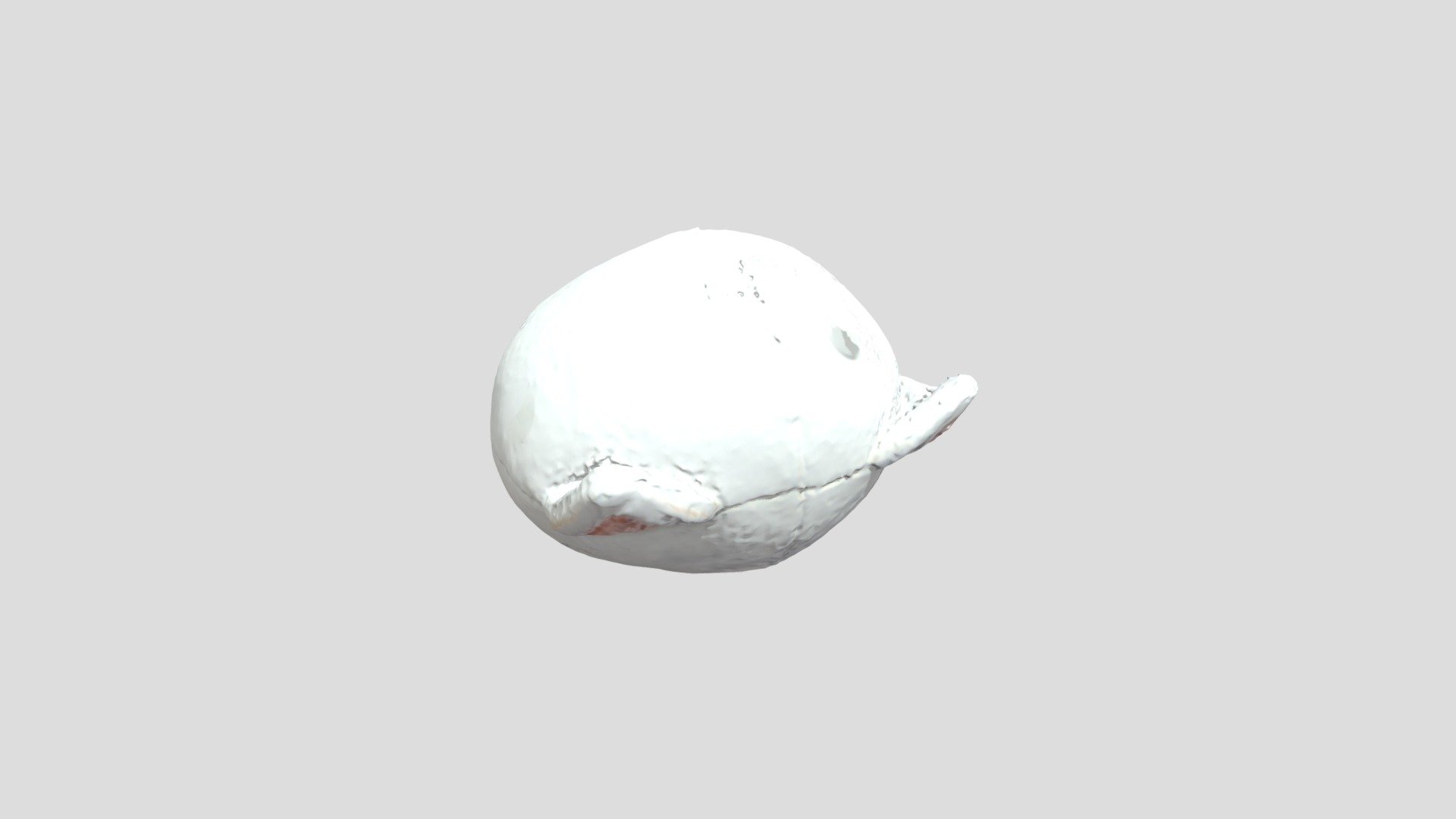 Cat Toy