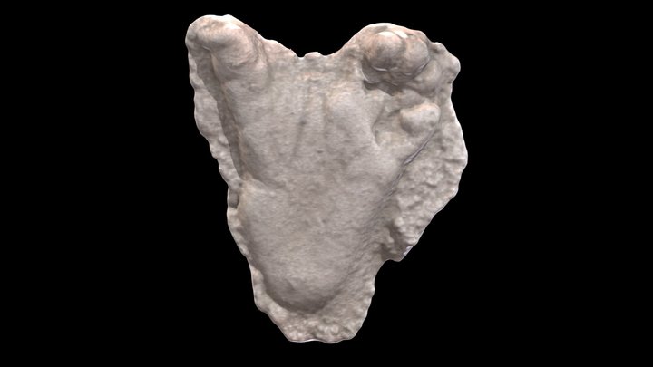 318 3D Model