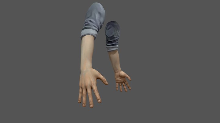 Stylised hands 3D Model