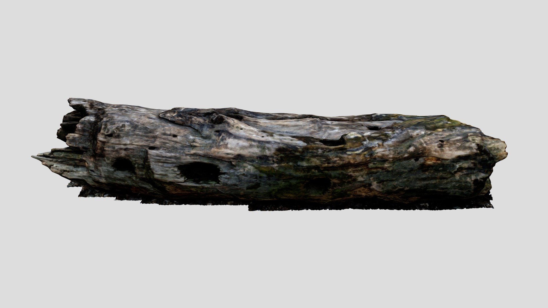 Damp, mossy driftwood