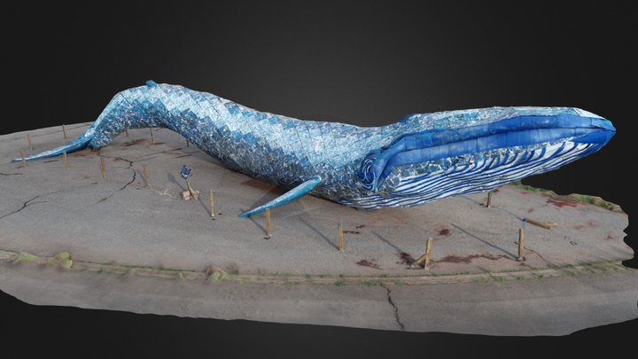 Ethyl the Whale 3D Model