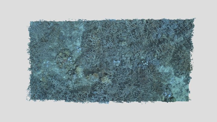 Masig_LA1S_P3_202302 3D Model