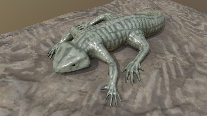 Discosauriscus austriacus 3D Model