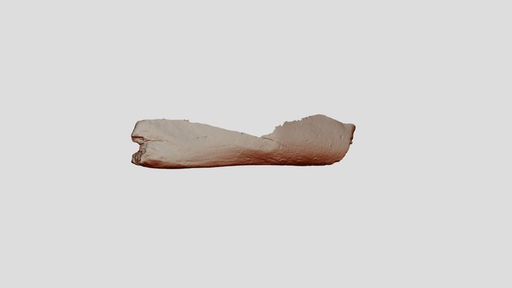 31 15 16 Töredék Binary 3D Model