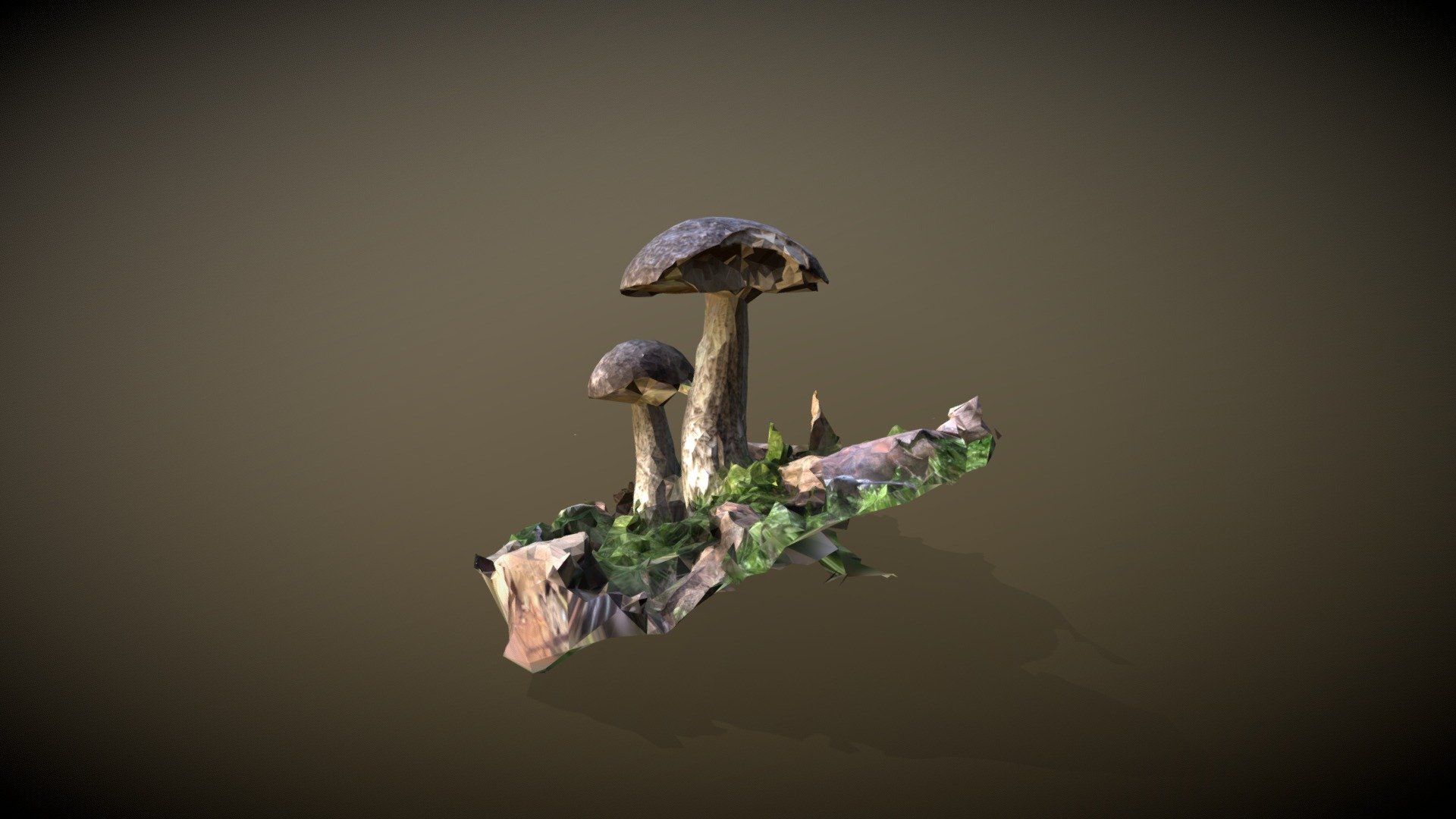 Mushrooms