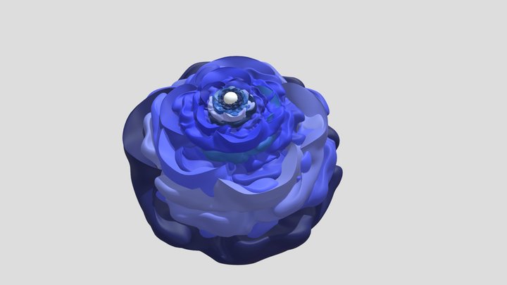 My model 3D Model