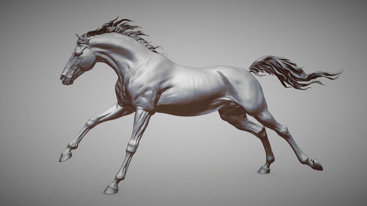 Running horse | 3D Sculpting 3D Model