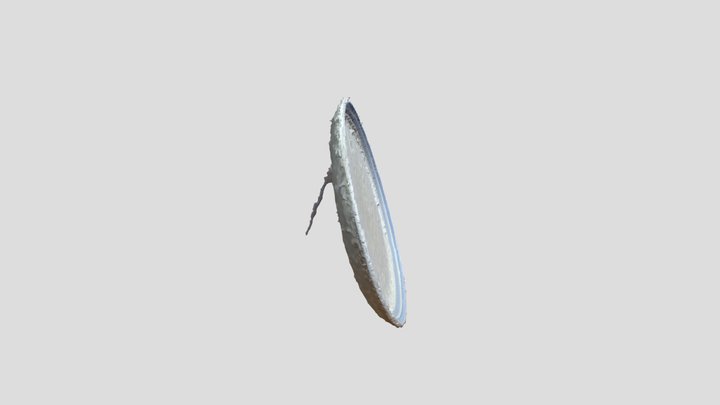 Dorothy Cafe Plate 3D Model