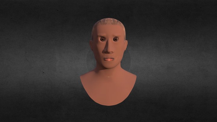 Busto 3D Model