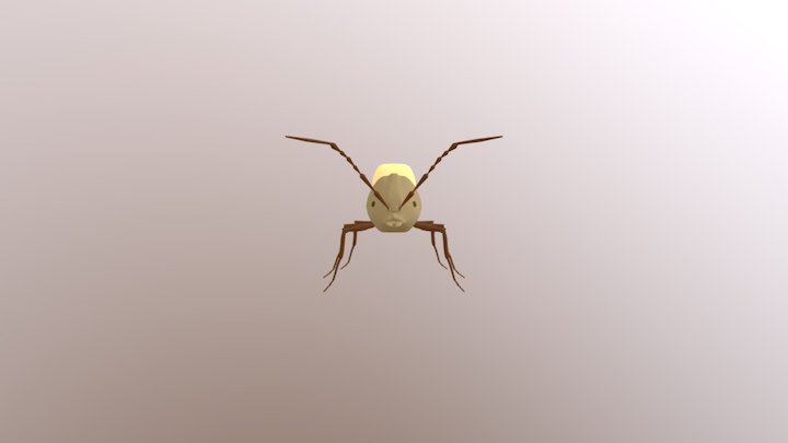 Formiga (Ant) 3D Model