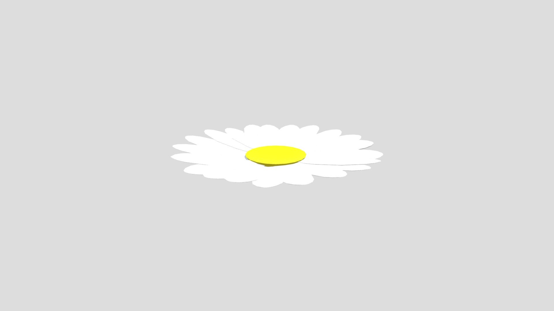 white daisy - 3D model by Alex.1.2.3 [578bbce] - Sketchfab