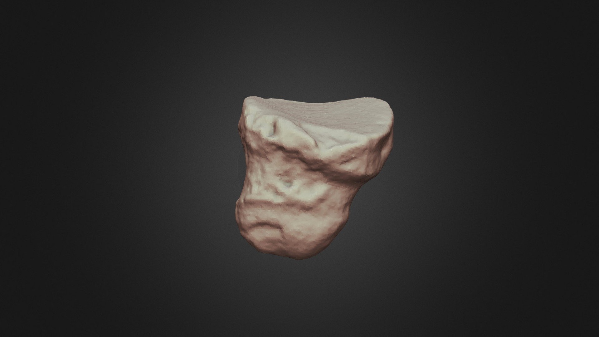 Woolly Rhino Phalange