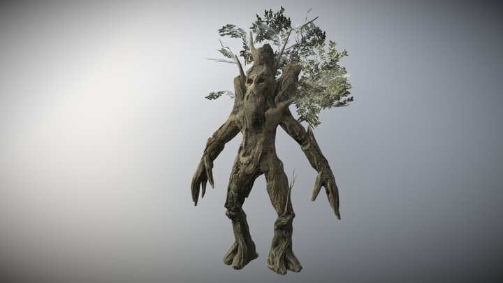 ent 3D Model