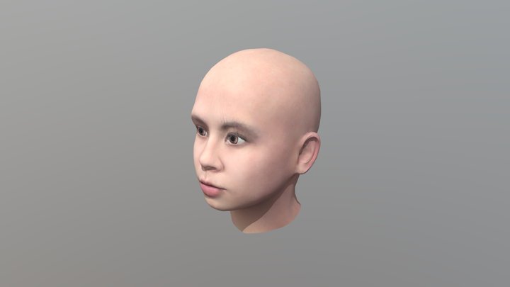 634230048 My Head Model 3D Model