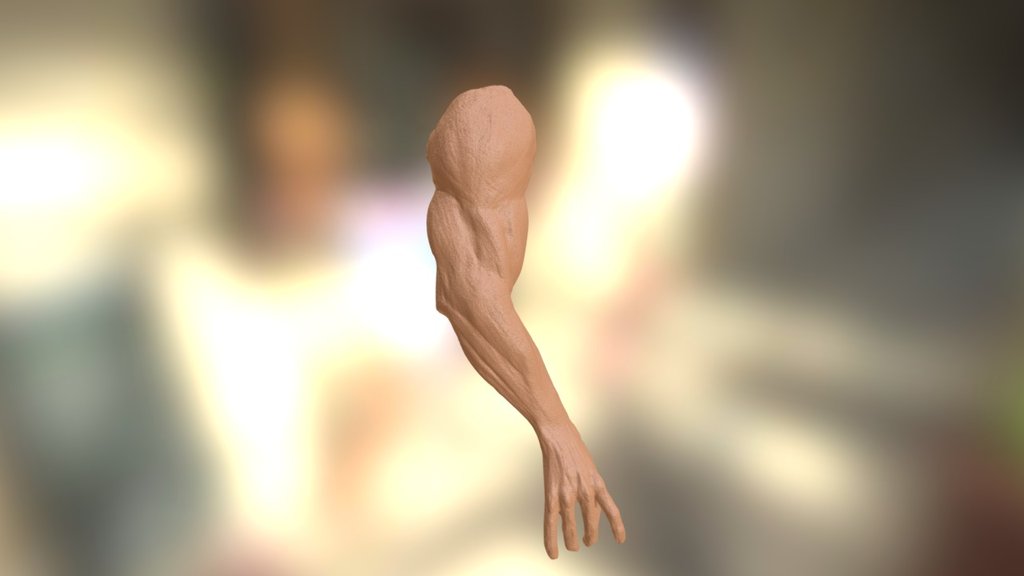 Arm - 3D model by nivilia [579af35] - Sketchfab