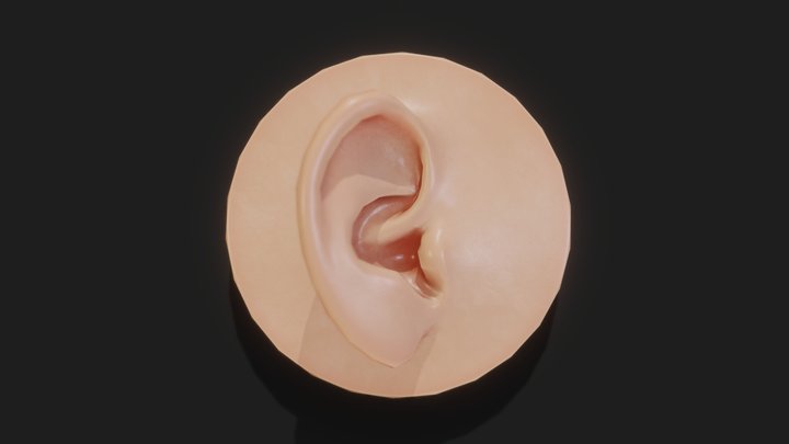 Ear lowpoly 3D Model