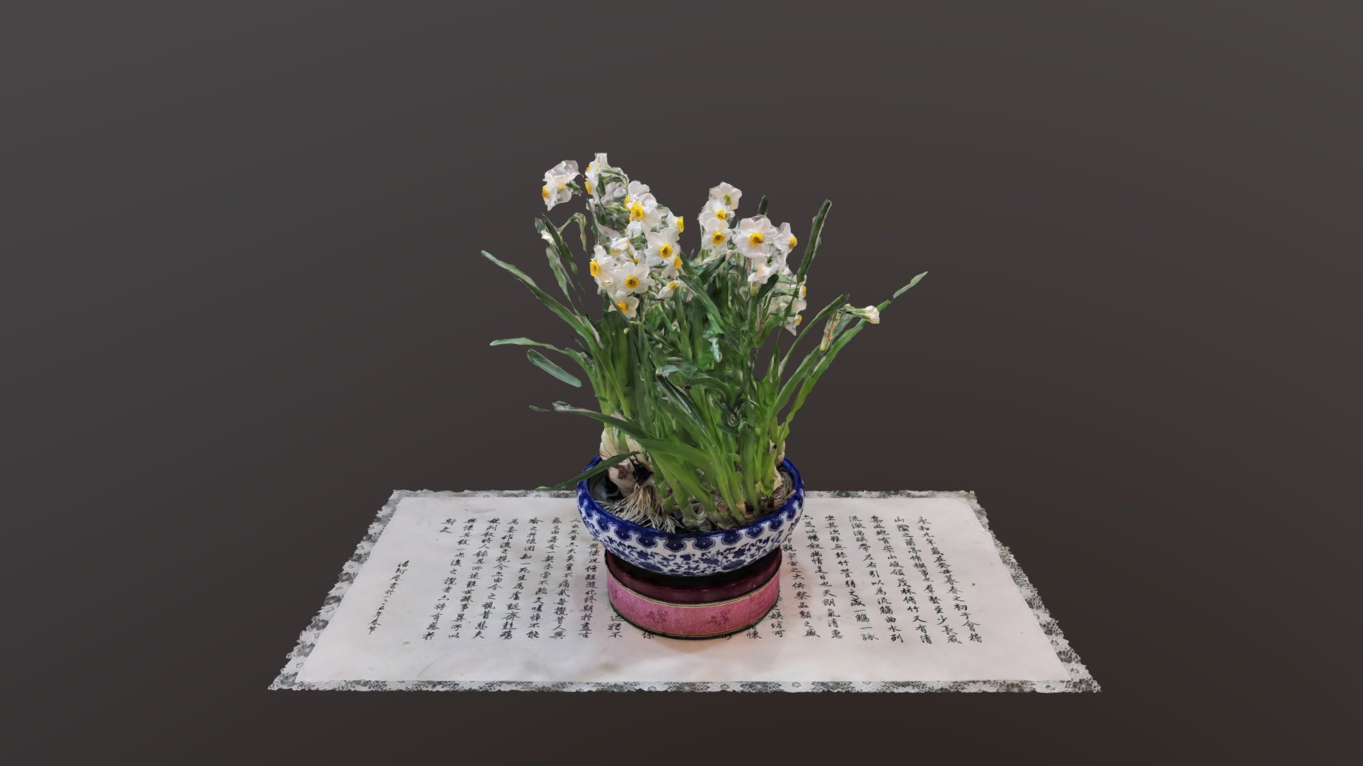 narcissus_2021