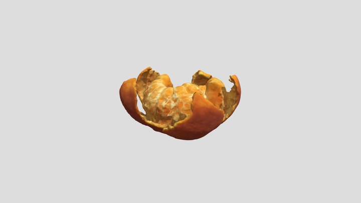 Mandarine 3D Model