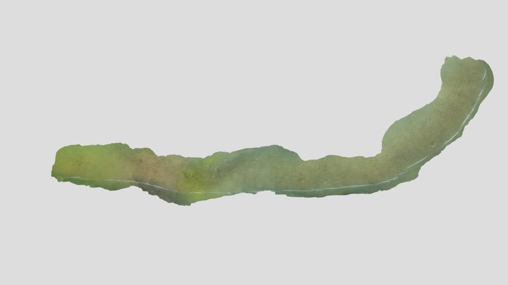 Pikkala bridge transect240 Netta 3D Model