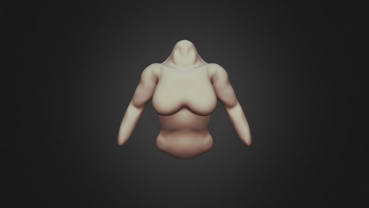 Torso 3D Model