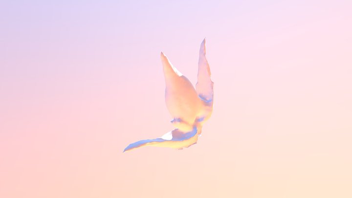 ดอกก้ามกุ้ง2 3D Model