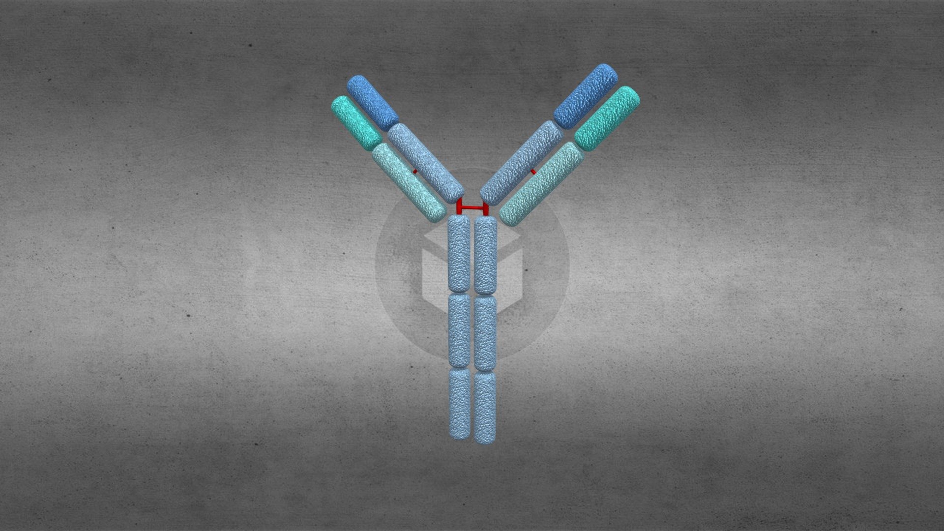 Antibodies IgE