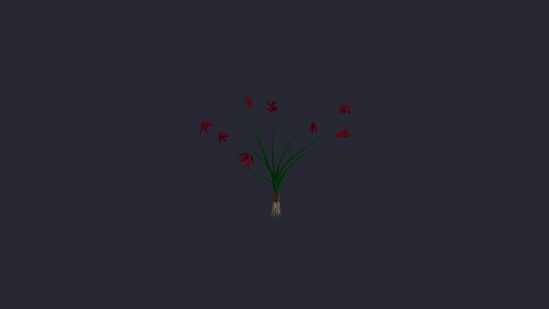 Red flowers with roots