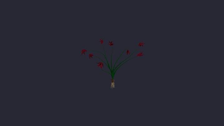 Red flowers with roots 3D Model