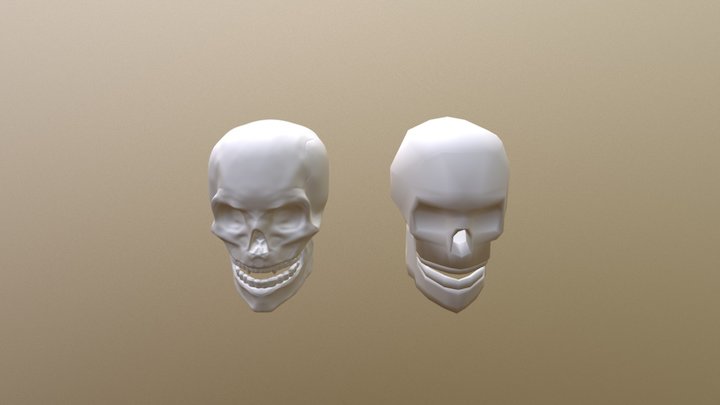 Skull Hi Lo 3D Model