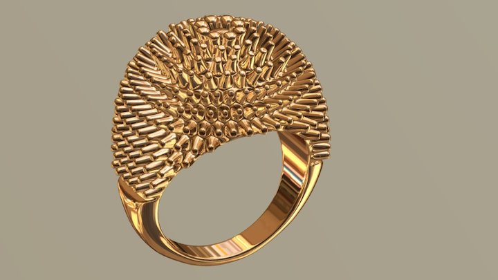 Ring02 3D Model