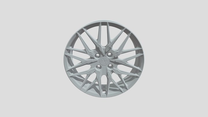 Multi-Spoke Rim Wheel
