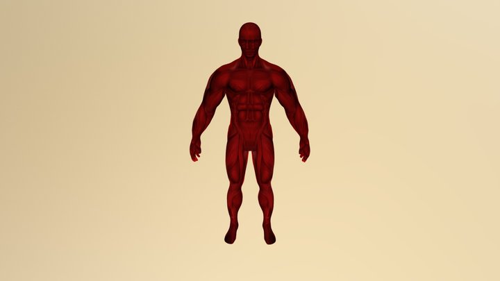 Corpo Musculoso Texturizado 3D Model