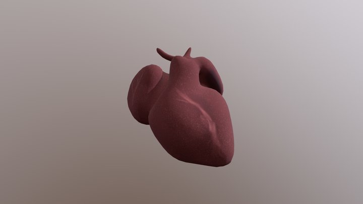 10mm Sheep embryo - Heart 3D Model