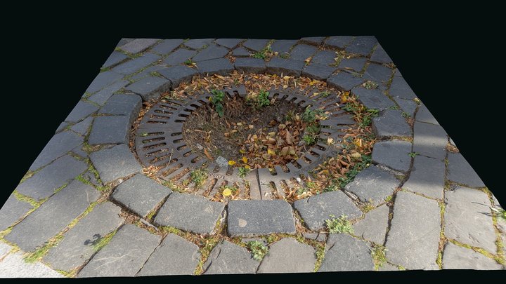 The "portal" - tree planting place on the street 3D Model